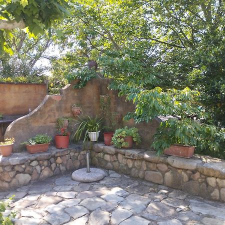 Casa Rural Can Jepet La Cellera de Ter エクステリア 写真