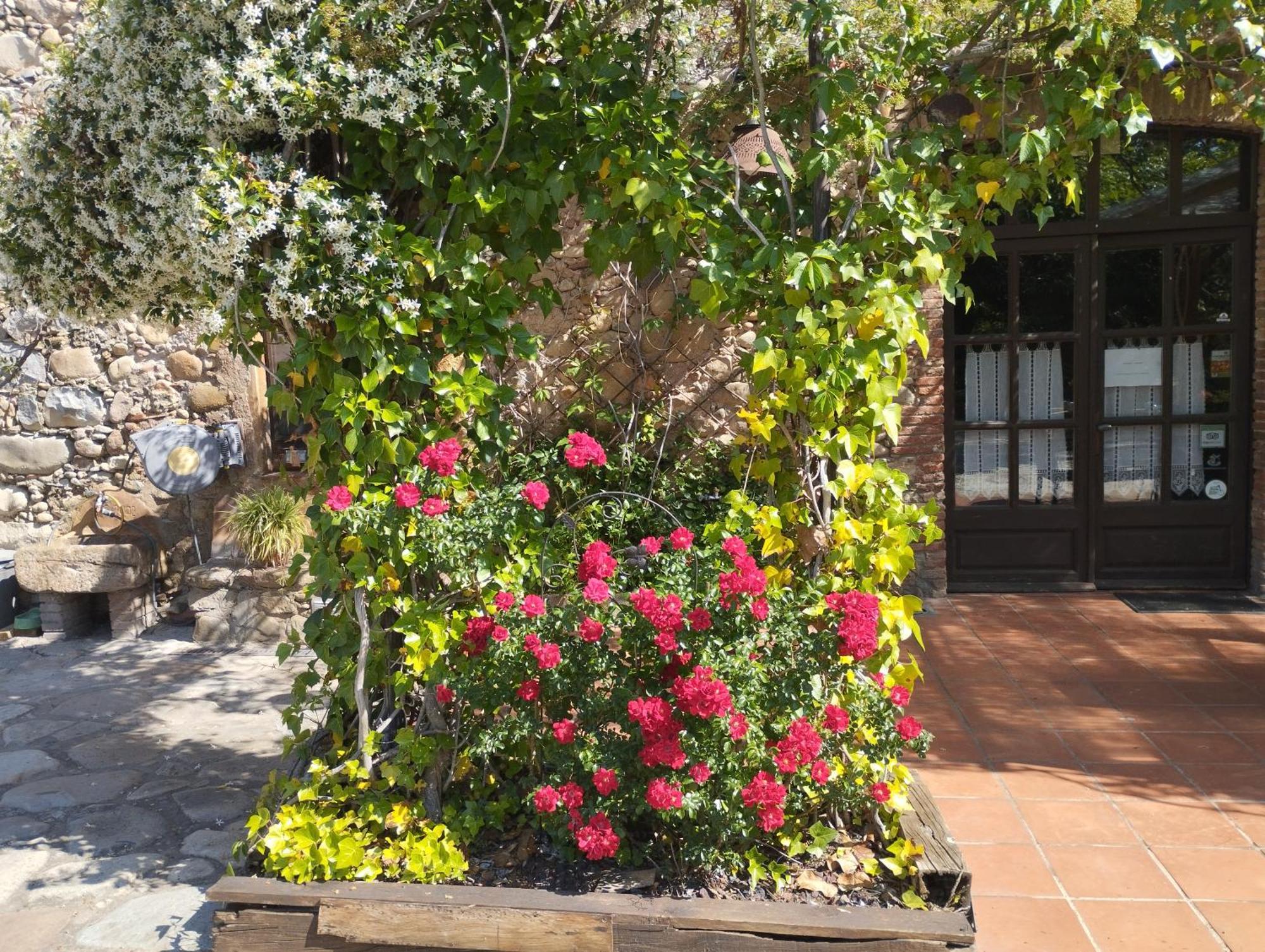 Casa Rural Can Jepet La Cellera de Ter エクステリア 写真